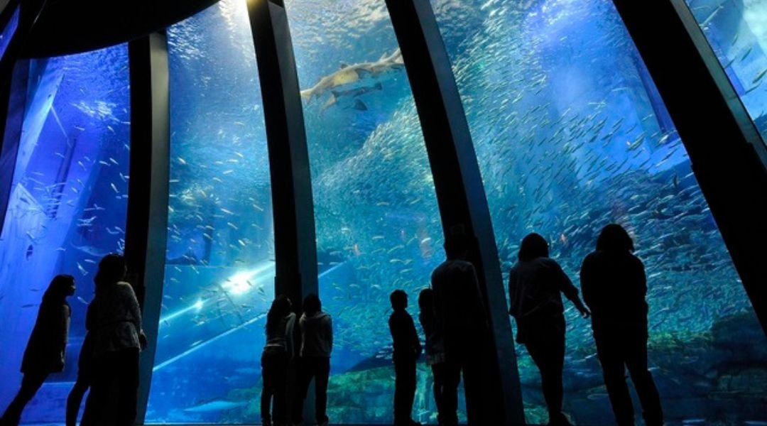 横浜・八景島シーパラダイス | FunNow - On-demand online